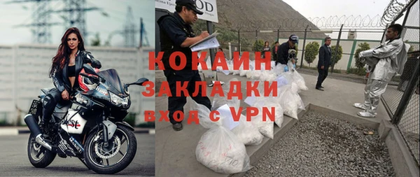 каннабис Болотное