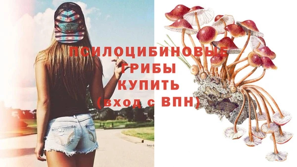 СК Болохово